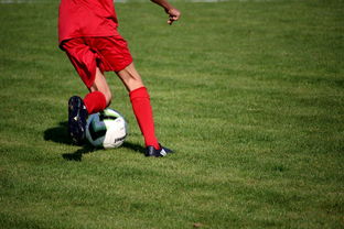 海湾者未来青训体系逐渐完善，海湾创始人